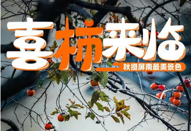 喜柿来临，行摄龙潭村三天俩晚旅游摄影创作团（有俩国家级赛事）